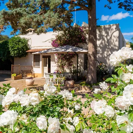 Holiday home Casetta Andrea Nel