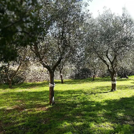 Holiday home Casetta Andrea Nel Galatone